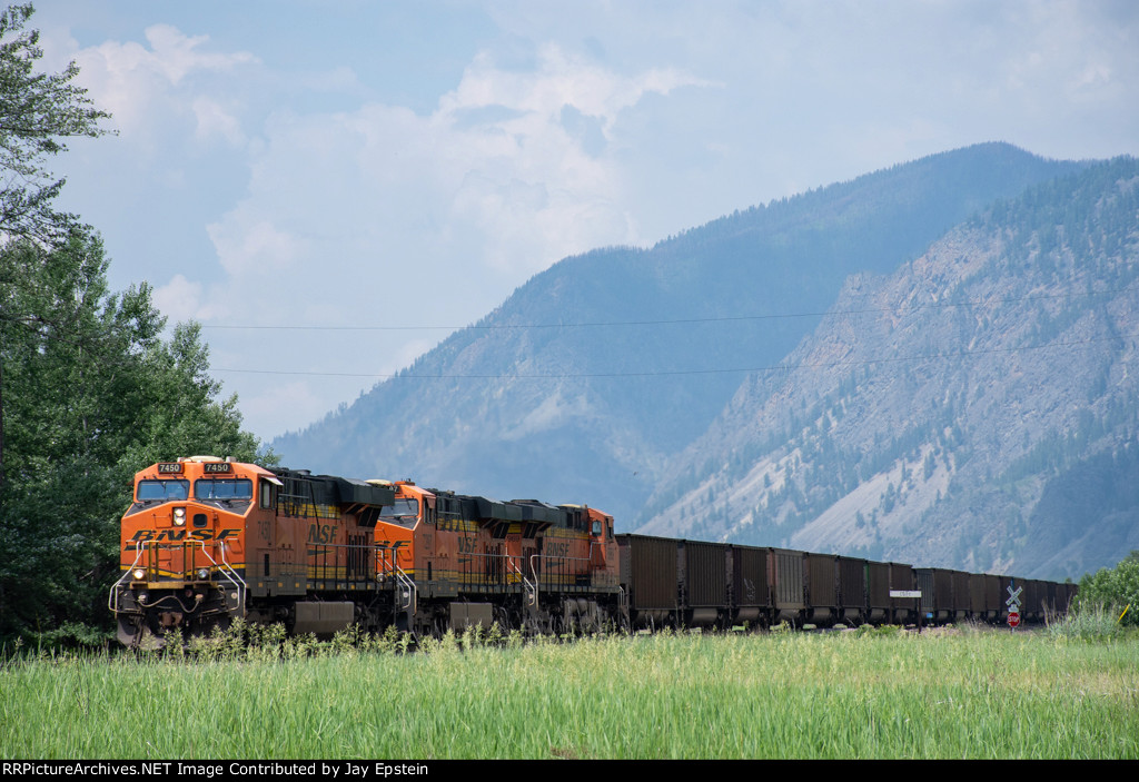 Train in a Field